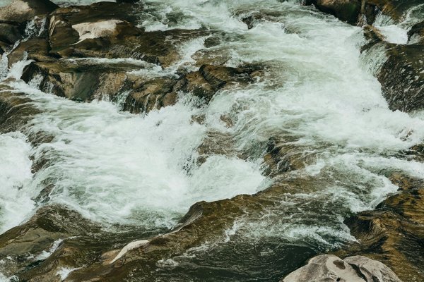 Explorez le camping à vaux-sur-mer : entre détente et aventure